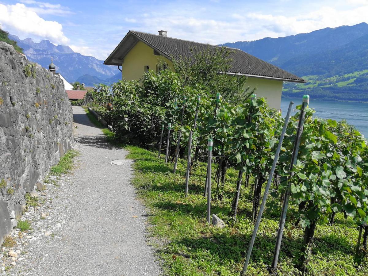 Haus Buenten Quinten 外观 照片