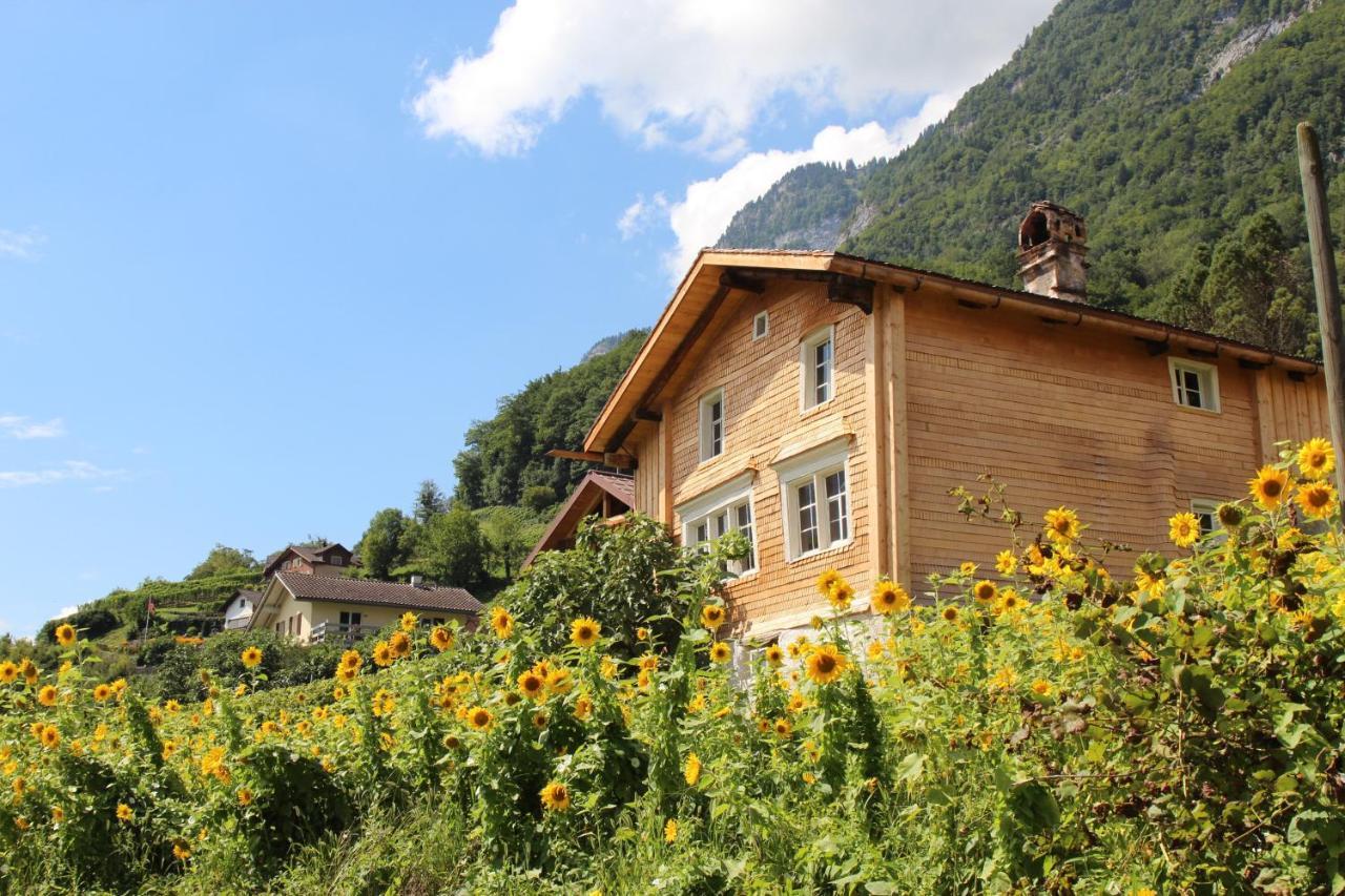 Haus Buenten Quinten 外观 照片