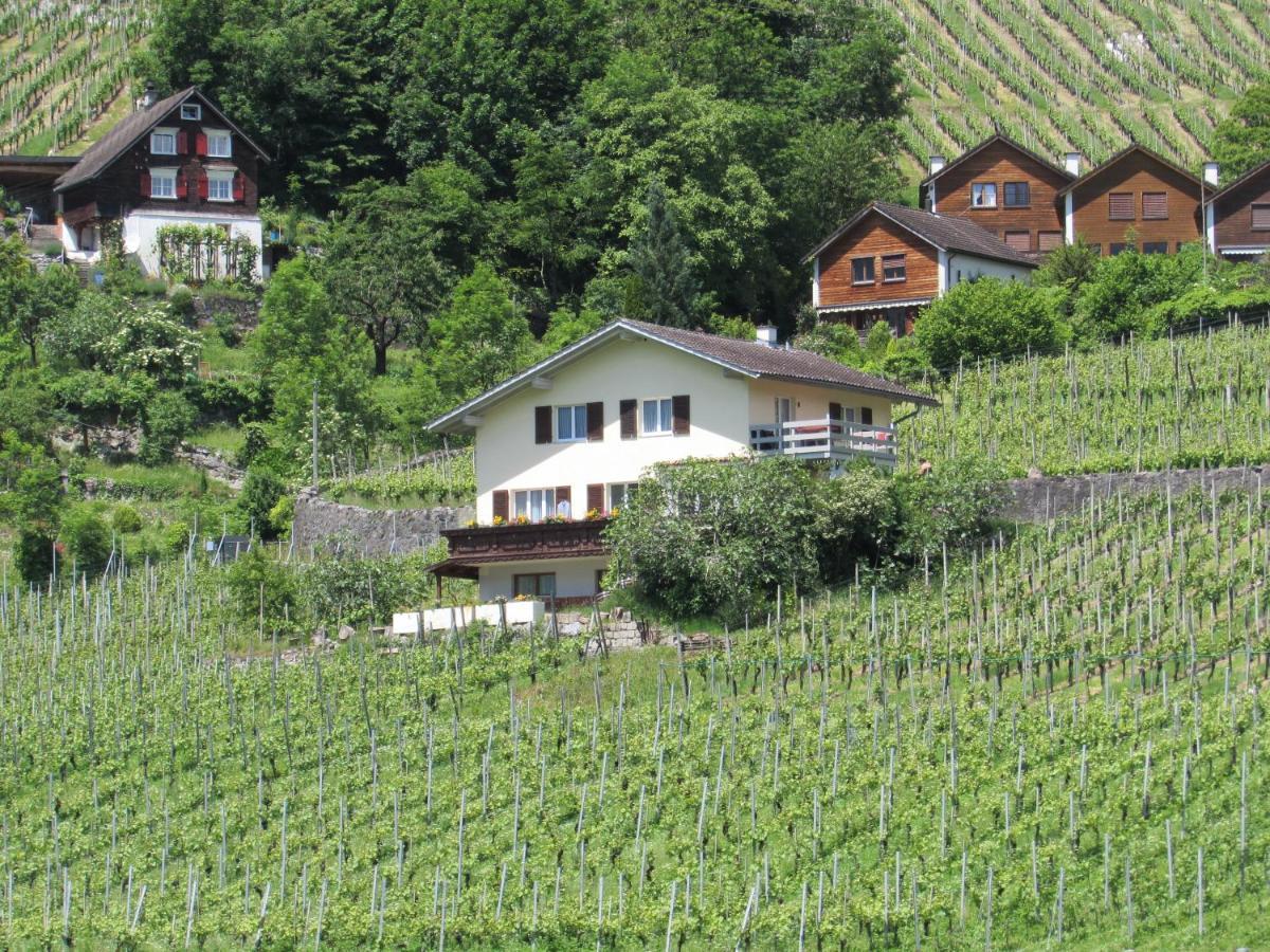 Haus Buenten Quinten 外观 照片