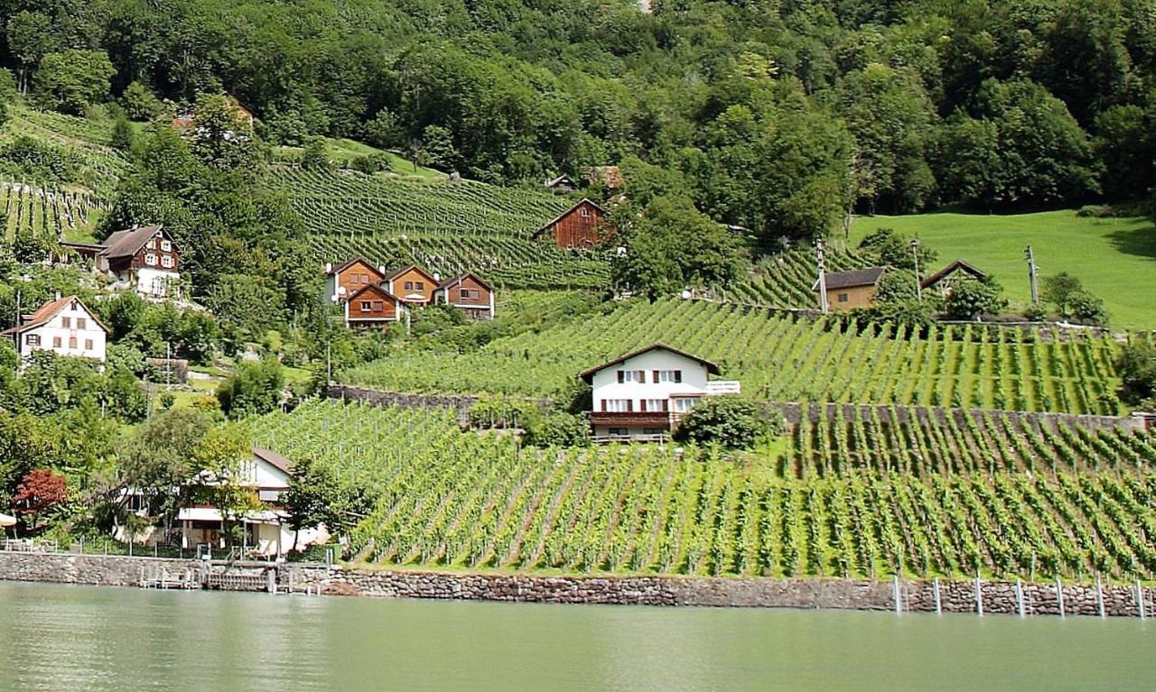 Haus Buenten Quinten 外观 照片