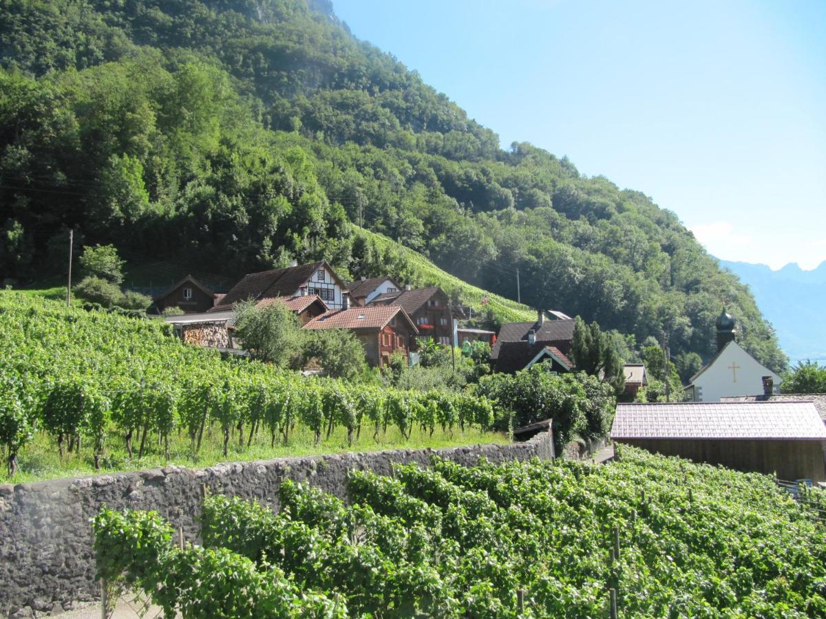 Haus Buenten Quinten 外观 照片